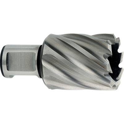 Close-up van een metalen boor of ruimer met een cilindrische schacht en spiraalvormige snijkanten, geïsoleerd op een witte achtergrond.