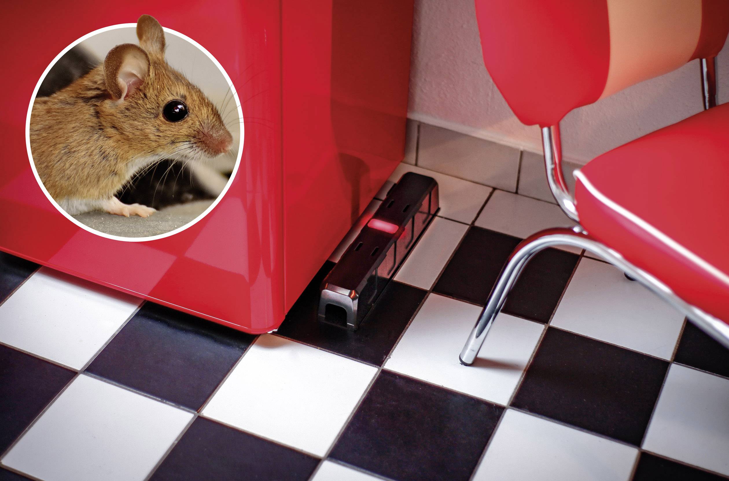 Gardigo mouse alarm trap Muizenval 1 stuk(s)-3