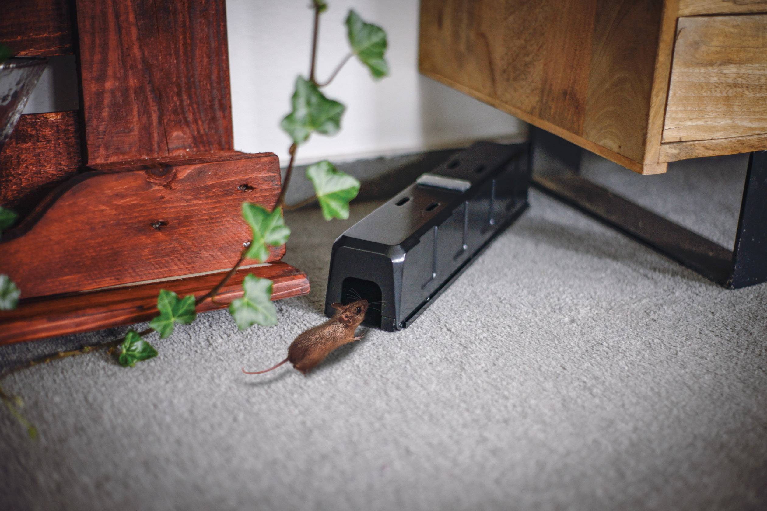 Gardigo mouse alarm trap Muizenval 1 stuk(s)-7