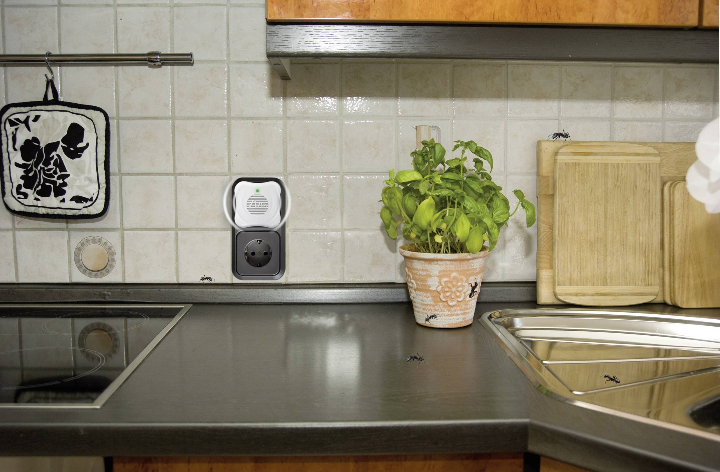 Een keuken met een basilicumplant op het aanrecht. Ernaast bevinden zich snijplanken en een stopcontact.