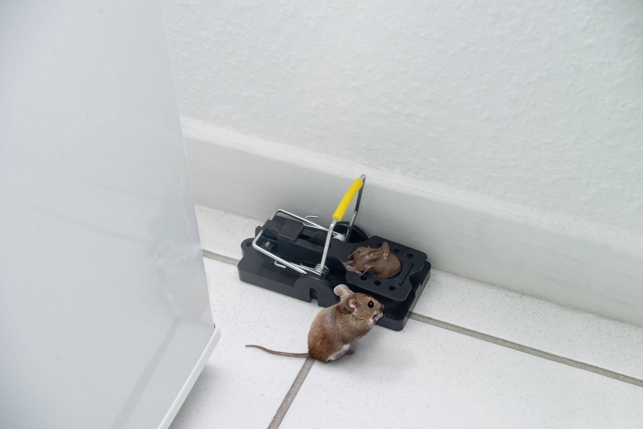 Gardigo mouse-trap Muizenval Functies: Lokstof 2 stuk(s)-1