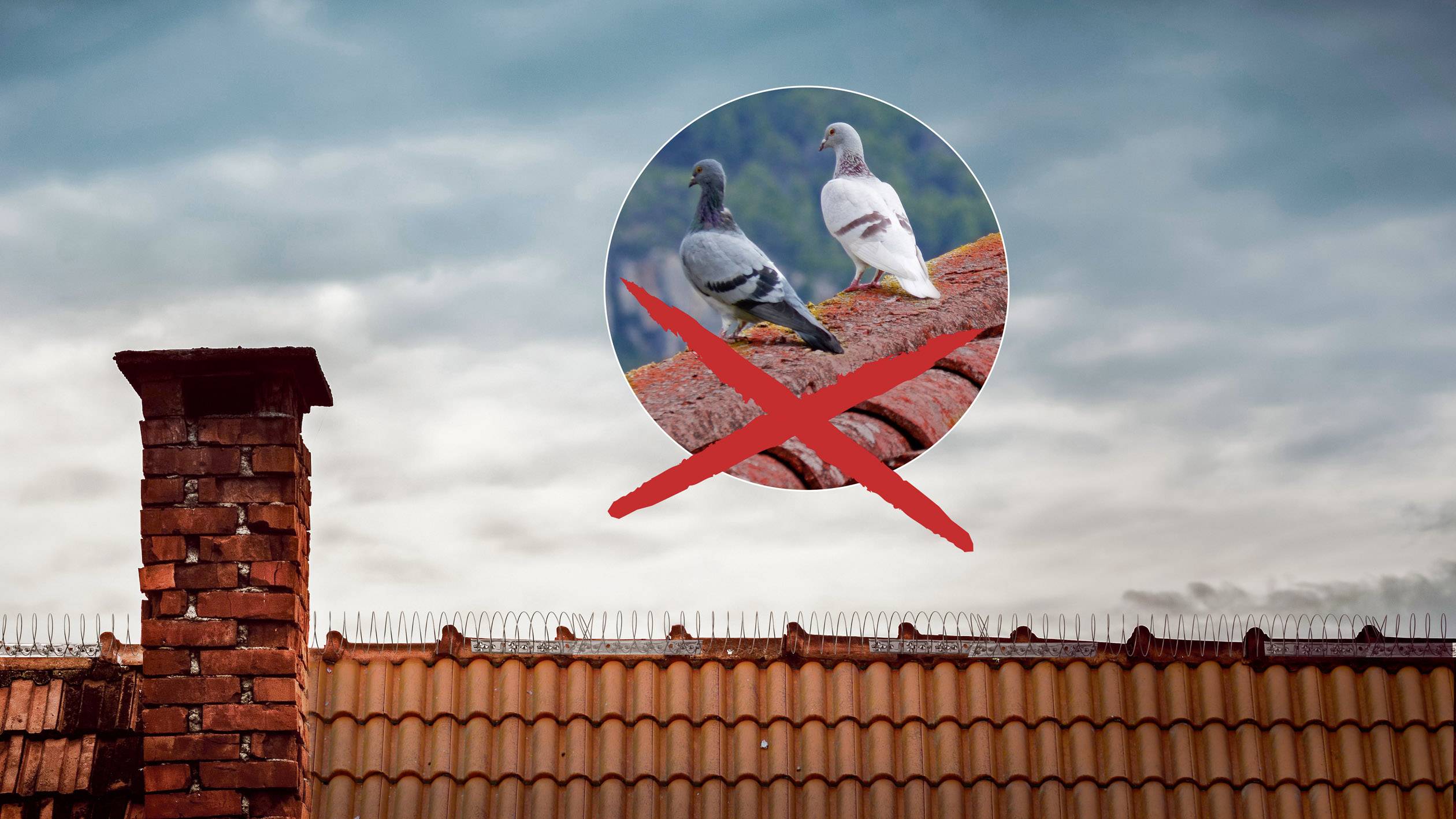 Twee duiven zitten op een dakpan met een rood kruis erboven, wat aangeeft dat ze daar ongewenst zijn. Achtergrond: bewolkte lucht.