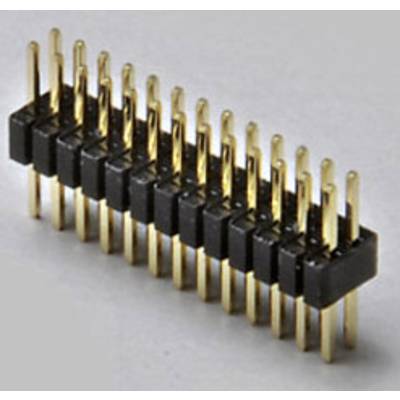 Een dubbele pinnenrij, gerangschikt in twee lagen, elk met acht gouden pinnen in een zwarte kunststof behuizing voor elektrische verbinding.