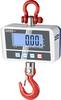 Kern HCD 300K-2D HCD 300K-2D Kraanweegschaal Weegbereik (max.) 300 kg Resolutie 50 g werkt op batterijen Meerdere kleuren