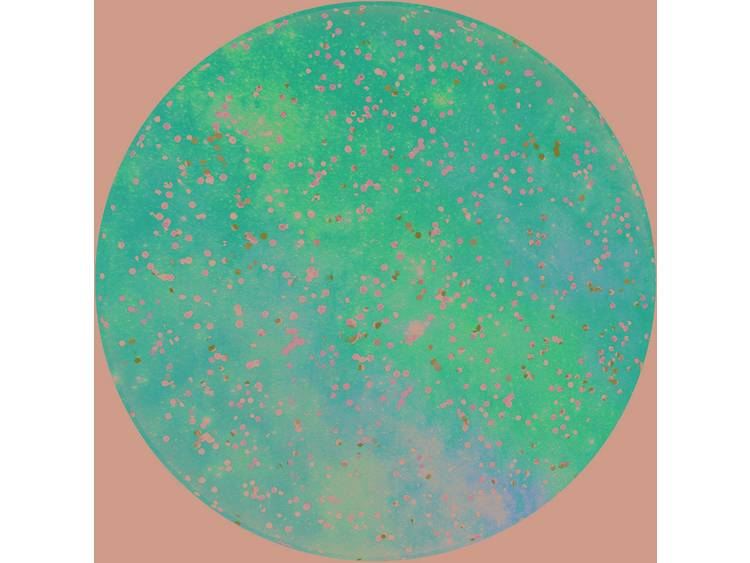 POPSOCKETS Glitter Nebula GSM-standaard Meerdere kleuren