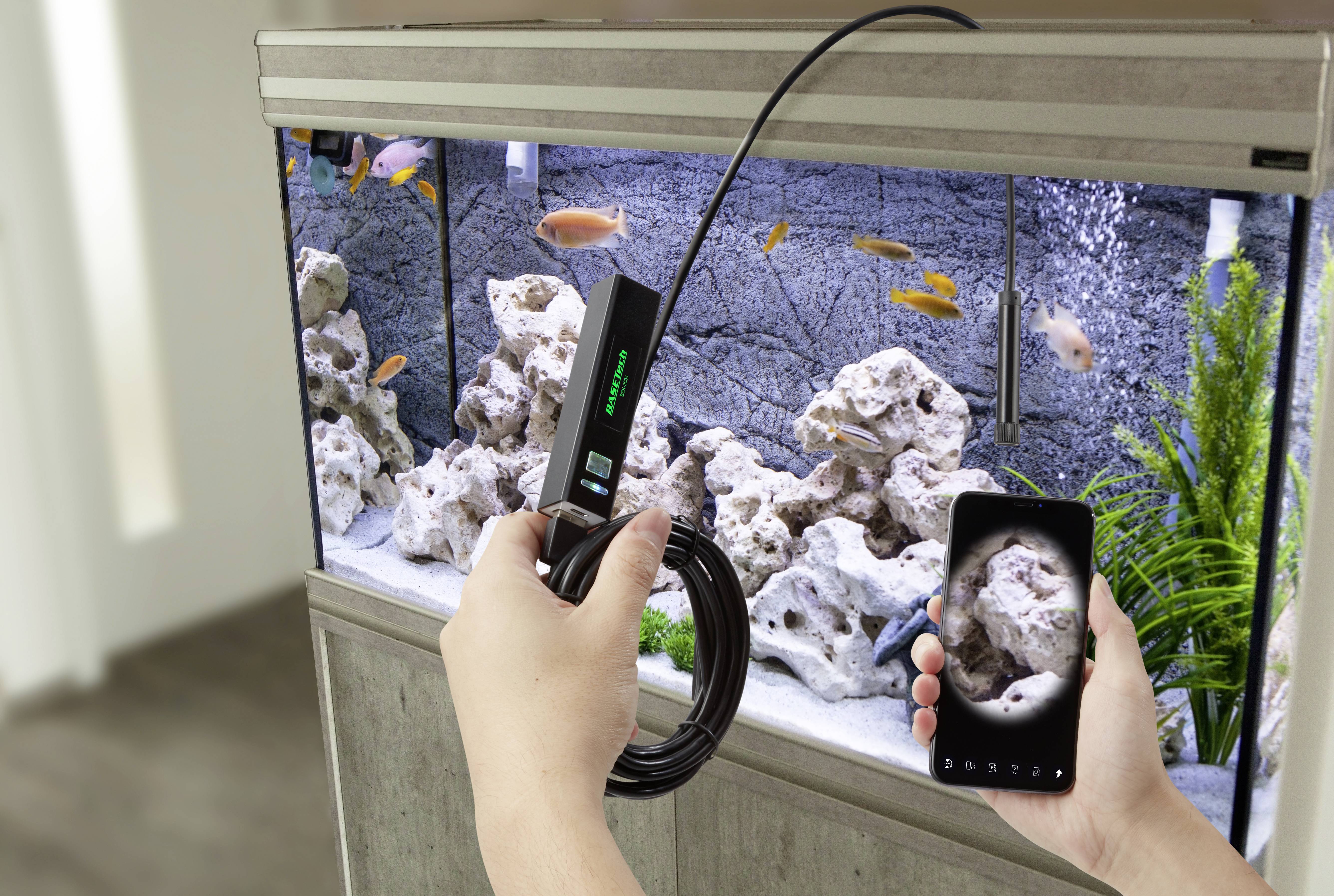 Een persoon houdt een endoscoop vast en toont het scherm van een smartphone met een afbeelding van een aquarium waarin vissen zwemmen.