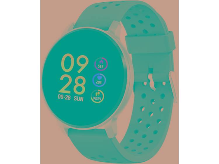 Denver Electronics SW-170 smartwatch Zilver IPS 3,3 cm (1.3)