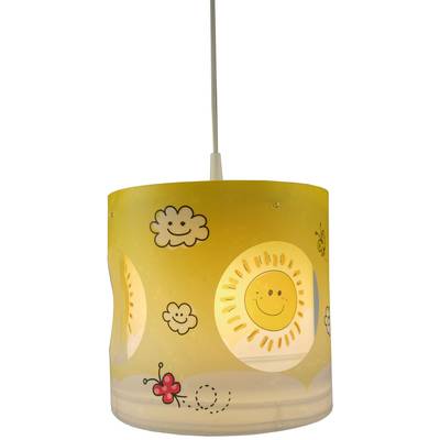 Niermann Sunny Zon Hanglamp  Spaarlamp, LED E27 60 W Bont