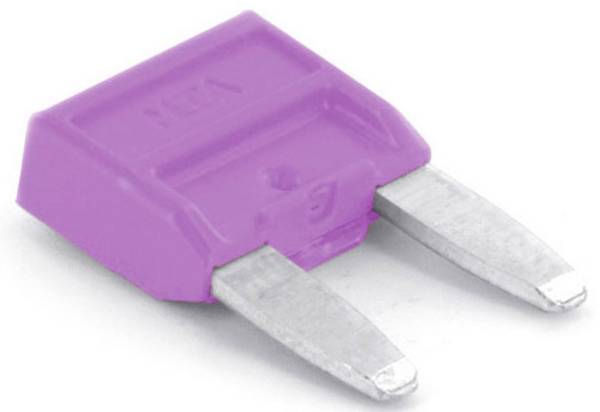 TRU COMPONENTS  8551260 Ministeekzekering (auto) 3 A Violet 1 stuk(s)