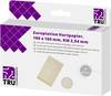 TRU COMPONENTS Printplaat Hardpapier (l x b) 160 mm x 100 mm 35 µm Rastermaat 2.54 mm Inhoud 4 stuk(s)