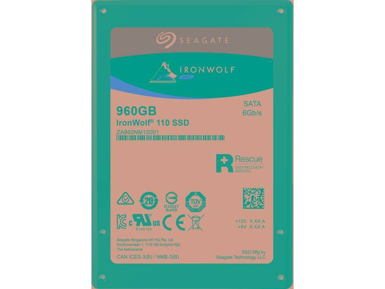 SSD 960GB 540-560 IronWolf 110 SA3 SEA