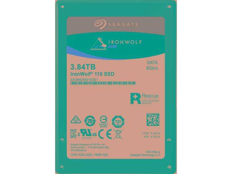 SSD 3860GB 535-560 IronWolf 110 SA3 SEA