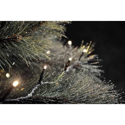 Konstsmide LED Uitbreiding lichtkettingsysteem 31 V Energielabel: E (A - G) Lichtketting Warmwit-0