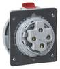 Legrand 555488 555488 CEE-opbouwdoos 32 A 4-polig 250 V/AC 1 stuk(s)