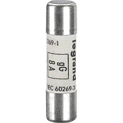 Zekering met markering '8A 500V', zilverkleurige uiteinden en een wit lichaam, gemarkeerd met 'IEC 60269.2'.