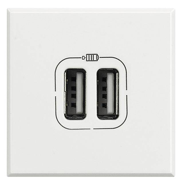 Witte stopcontactafdekking met twee USB-poorten, geschikt voor het opladen van elektronische apparaten.