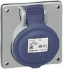 Legrand 555284 555284 CEE-doos (opbouw) 32 A 3-polig 250 V/AC 1 stuk(s)