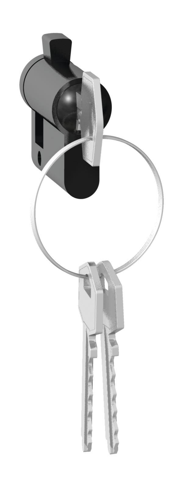 Twee zilveren sleutels aan een ronde sleutelring, die gestoken zit in een zwart en zilver cilinderslot.