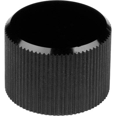 Mentor 505.613 505.613 Draaiknop Zwart (Ø x h) 12 mm x 12 mm 1 stuk(s)