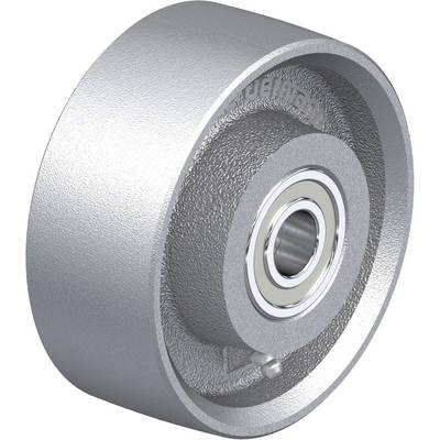 Zilveren metalen wiel met een ingebed kogellager in het midden. Geschikt voor industriële toepassingen.
