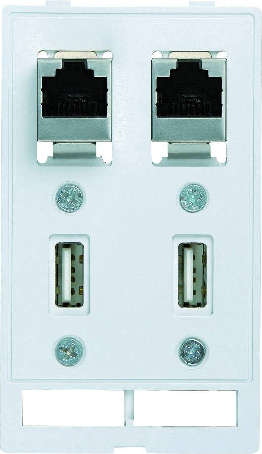 Twee Ethernet-poorten en twee USB-poorten op een witte wandplaat voor netwerk- en stroomaansluitingen.