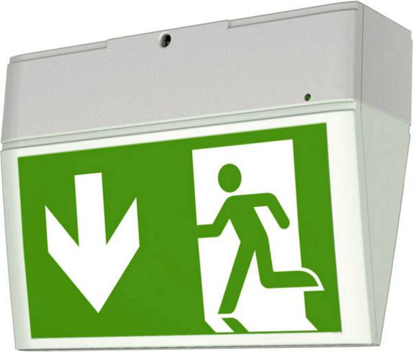 CEAG 40071354900 LED-vluchtwegverlichting  Plafondopbouwmontage, Wandopbouwmontage Links, Rechts, Naar beneden