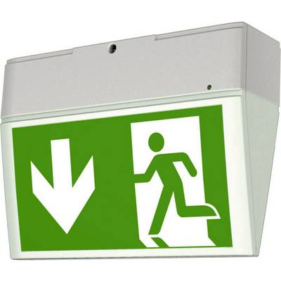Groen nooduitgangsbord met wit pictogram van een lopend poppetje in de richting van een pijl naar beneden.