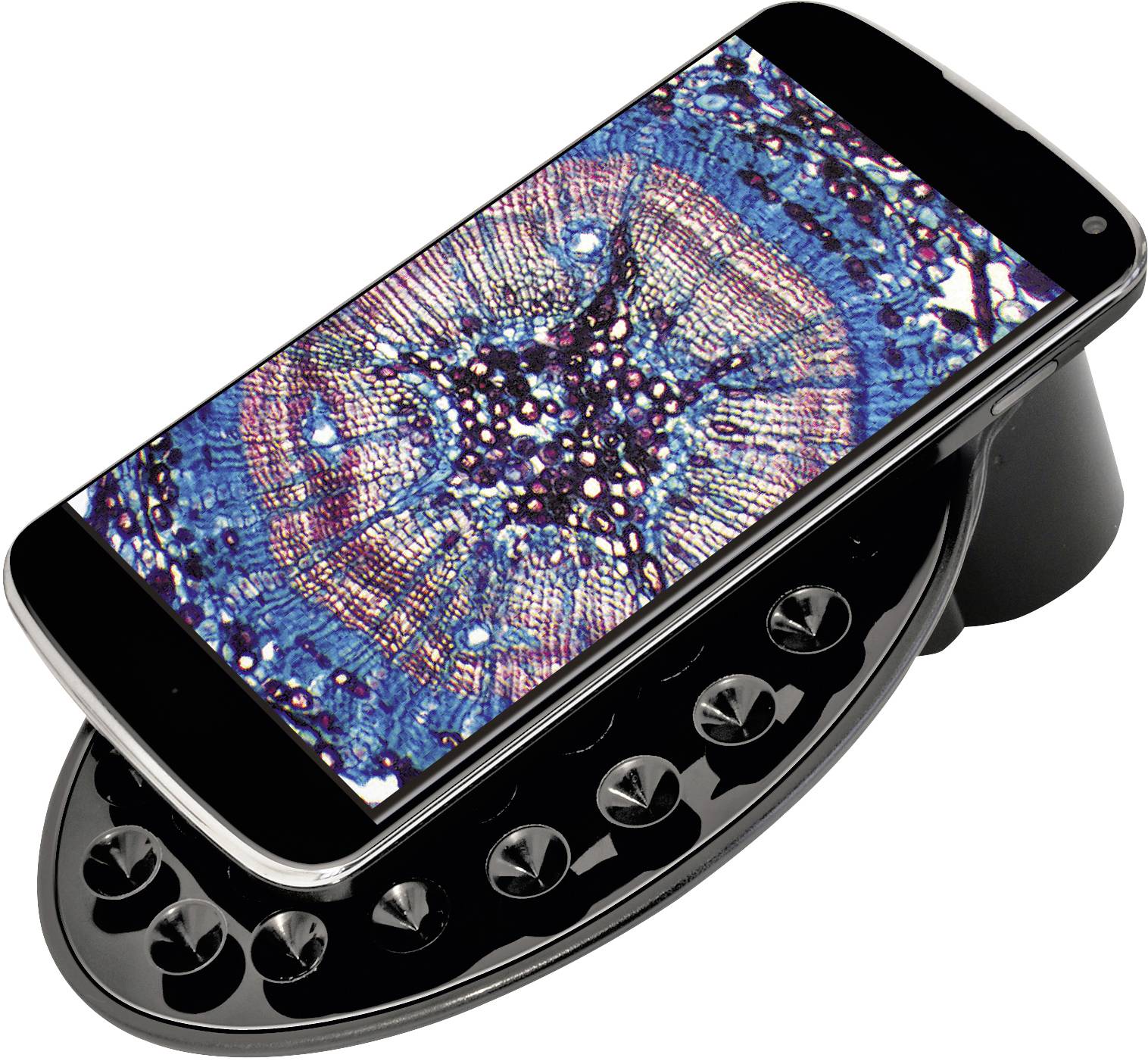 Een smartphone ligt op een microscoop-opzetstuk en toont een microscopisch beeld van plantencellen op het scherm.