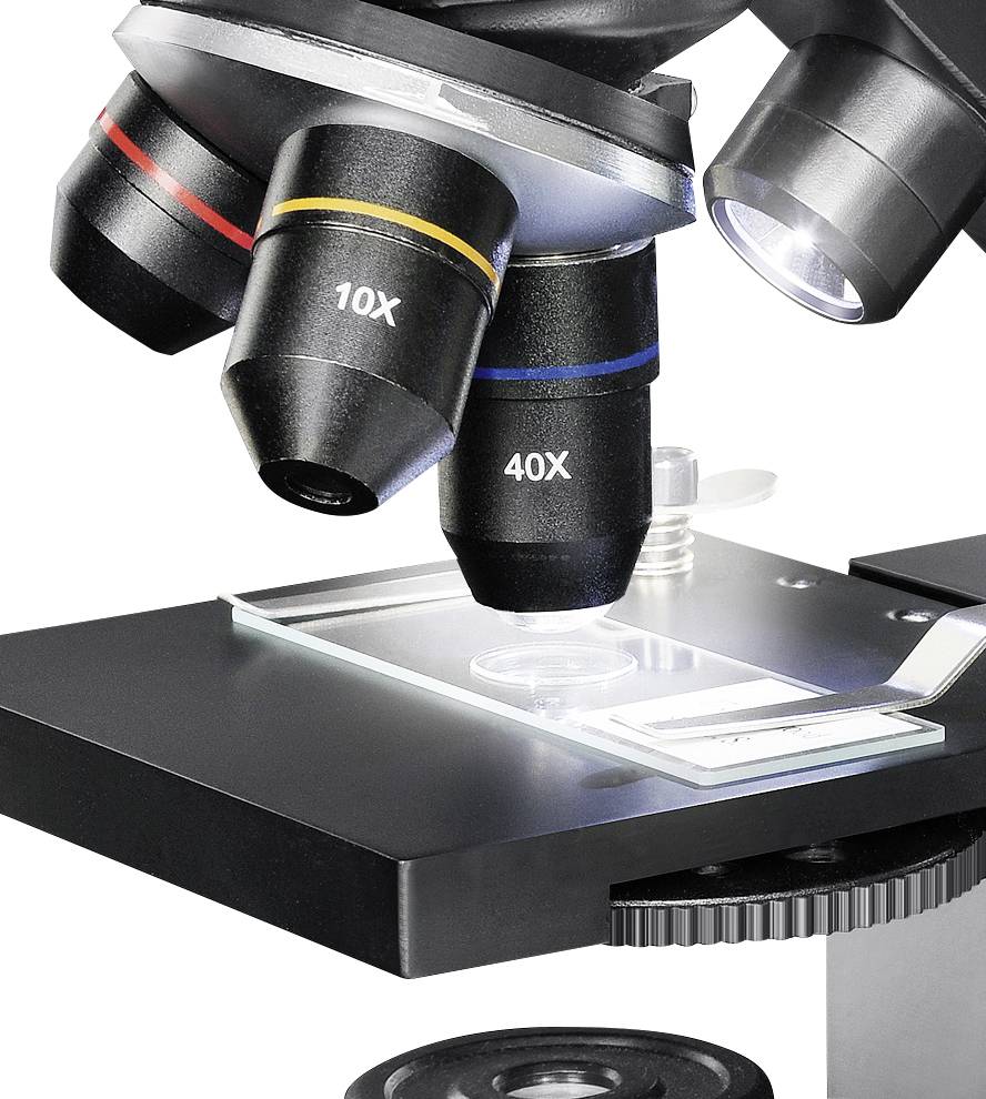 Objectieflenzen van een microscoop met aanduidingen '10X' en '40X', gericht op een objectglaasje met een doorzichtig patroon.