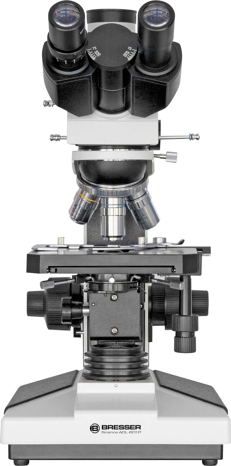 Een microscoop van Bresser, frontaal afgebeeld, toont de oculairs, de buis, de objectiefrevolver en de objecttafel.