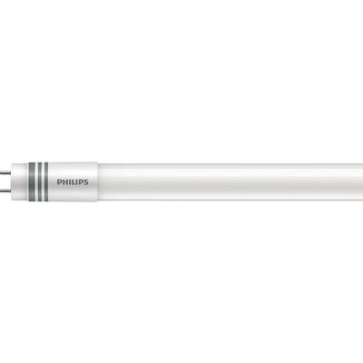 Witte TL-buis met twee metalen pennen aan één uiteinde en de opdruk 'Philips'.