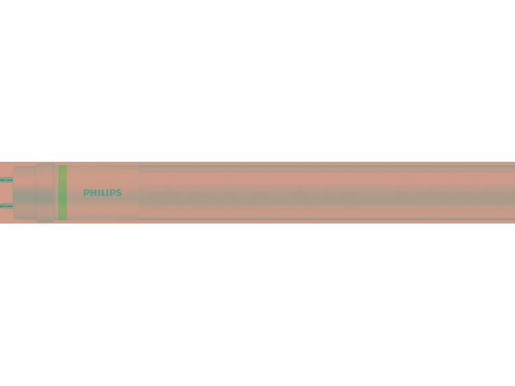 Philips LEDtube EM HO 20.5W 840 150cm (MASTER Value) | Koel Wit incl. LED Starter Vervangt 58W