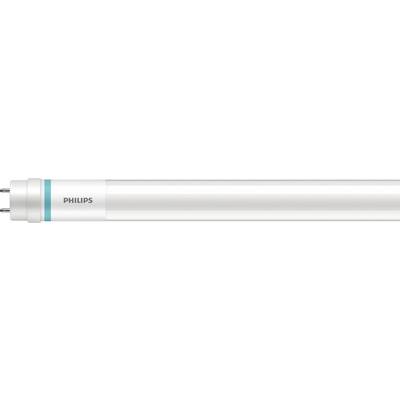 Witte LED-buis met het opschrift 'PHILIPS', cilindrisch van vorm, geschikt voor verlichting.