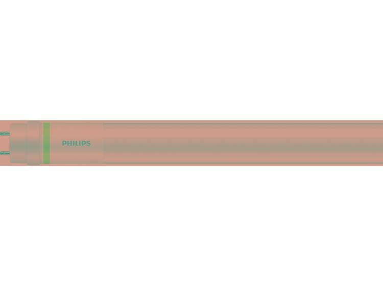 Philips LEDtube EM HO 20.5W 865 150cm (MASTER Value) | Daglicht incl. LED Starter Vervangt 58W