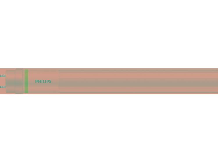 Philips LEDtube EM UO 24W 830 150cm (MASTER Value) | Warm Wit incl. LED Starter Vervangt 58W