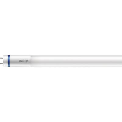 Een witte, buisvormige tl-lamp met het opschrift 'Philips' nabij een blauwe streep aan de linkerkant.