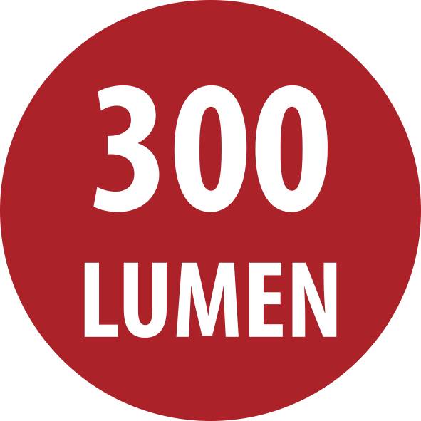 Rood rond etiket met witte tekst '300 LUMEN' die de lichtopbrengstrating aangeeft.