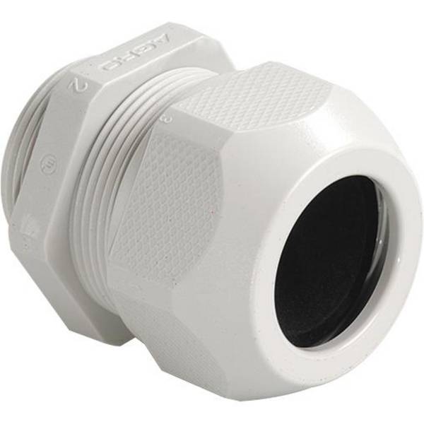 Kaiser Elektro 1555.N0750.14 Wartel 3/4" Kunststof Lichtgrijs 1 stuk(s)