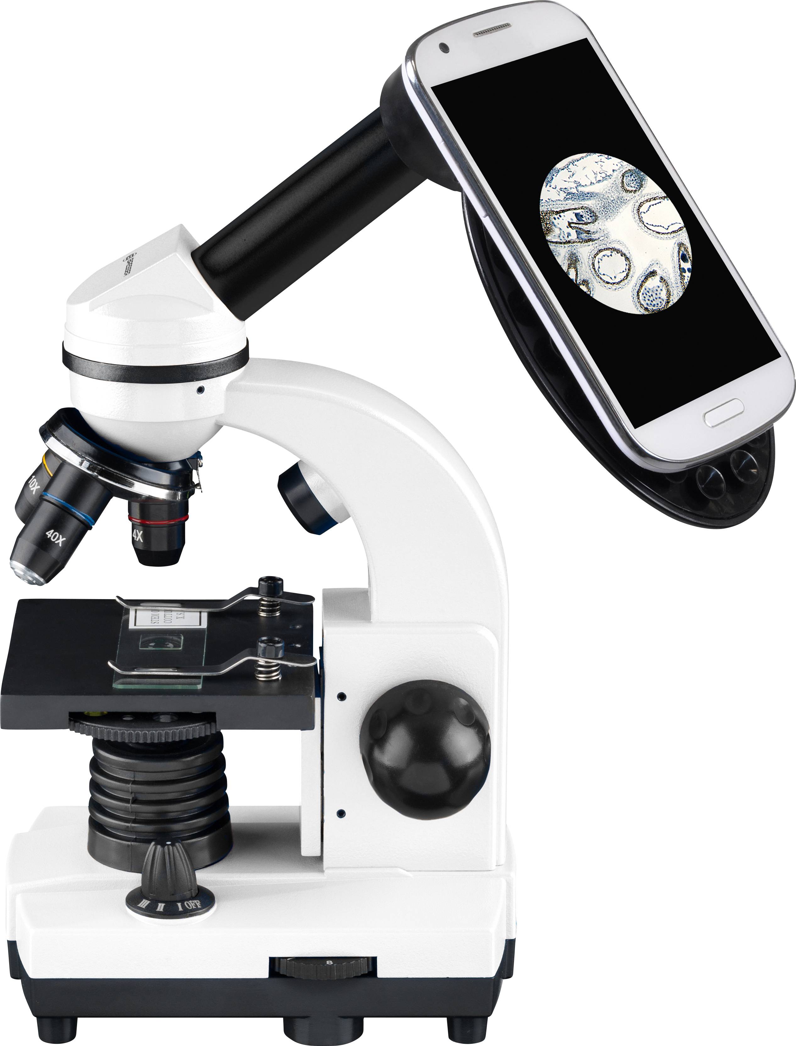 Een microscoop met een smartphone eraan bevestigd, die een vergroot beeld van micro-organismen op het scherm weergeeft.