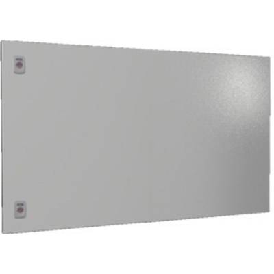 Rittal SV 9682.106 Gedeeltelijke deur  Staal Grijs (b x h) 1000 mm x 600 mm 1 stuk(s) 