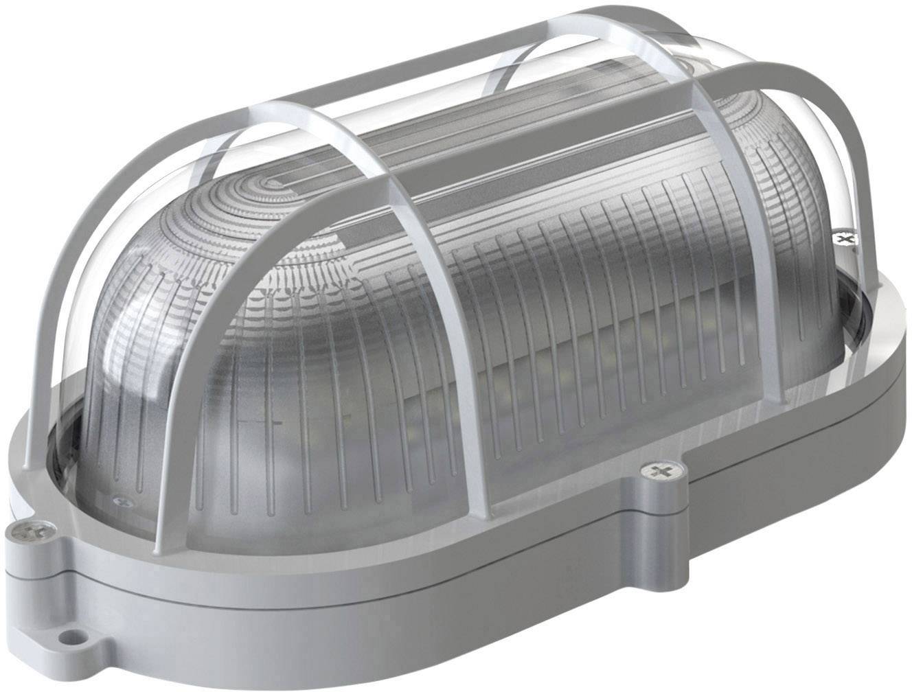 Metalen afdekking met een transparente, geprofileerde kunststof behuizing beschermt een ovale lamp, geschikt voor industriële of buitentoepassingen.