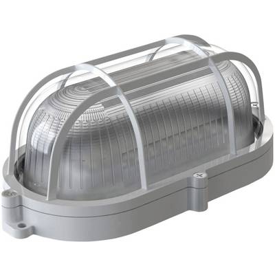 Metalen afdekking met een transparente, geprofileerde kunststof behuizing beschermt een ovale lamp, geschikt voor industriële of buitentoepassingen.