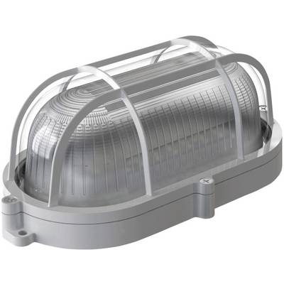 Industriële lamp met metalen rooster, zilverkleurig, robuuste constructie voor gebruik in industriële omgevingen.