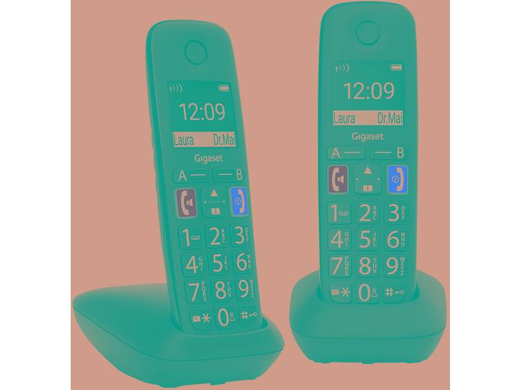 Gigaset E290 Duo ohne Anrufbeantworter DECT handset Zwart