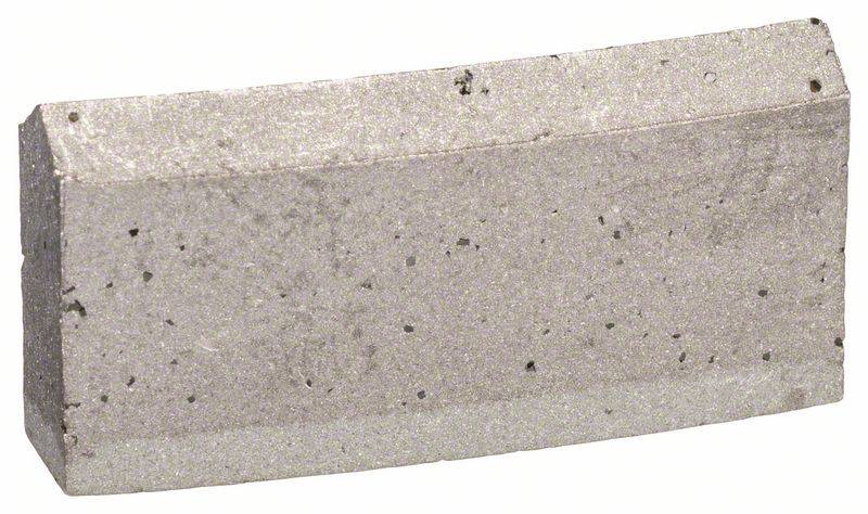 Bosch Accessories 2608601399 2608601399 Segmenten voor diamantboorkronen 250 mm 1 stuk(s)