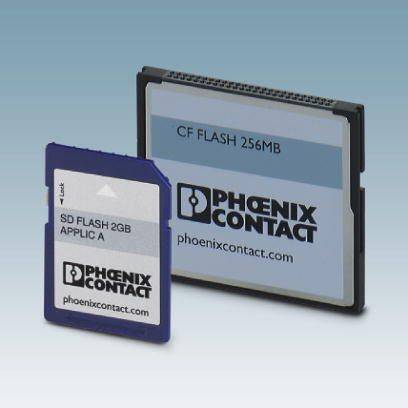 Twee geheugenkaarten: links een blauwe SD-kaart met 'SD FLASH 2GB', rechts een grotere CompactFlash-kaart met 'CF FLASH 256MB'.