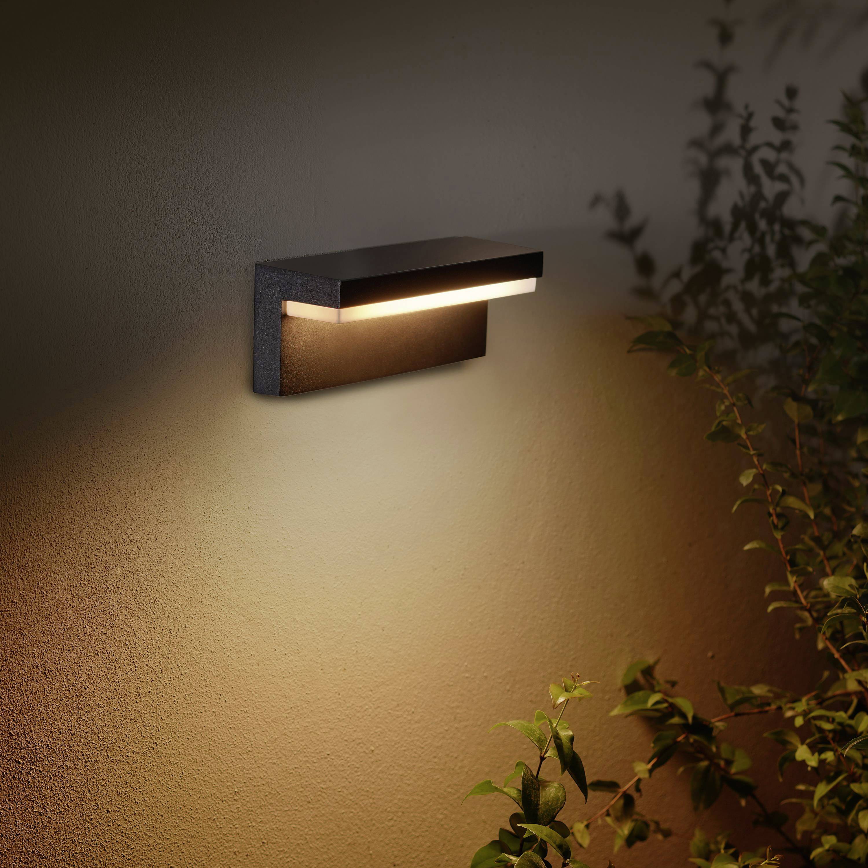 Buitenlamp aan een muur die warm licht uitstraalt, met planten op de voorgrond. Verlicht een buitenruimte bij het invallen van de avond.