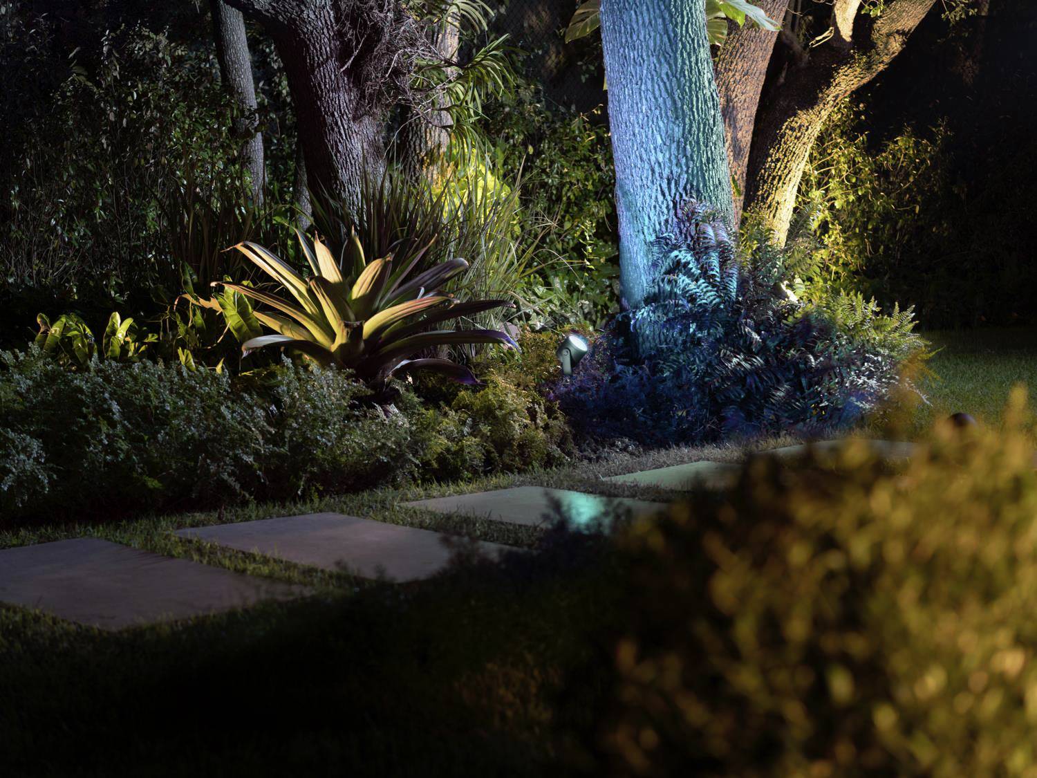 Een nachtelijke tuin met verlichte bomen en planten; op de voorgrond zijn stenen tegels op het gazon zichtbaar.
