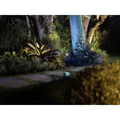 Een nachtelijke tuin met verlichte bomen en planten; op de voorgrond zijn stenen tegels op het gazon zichtbaar.