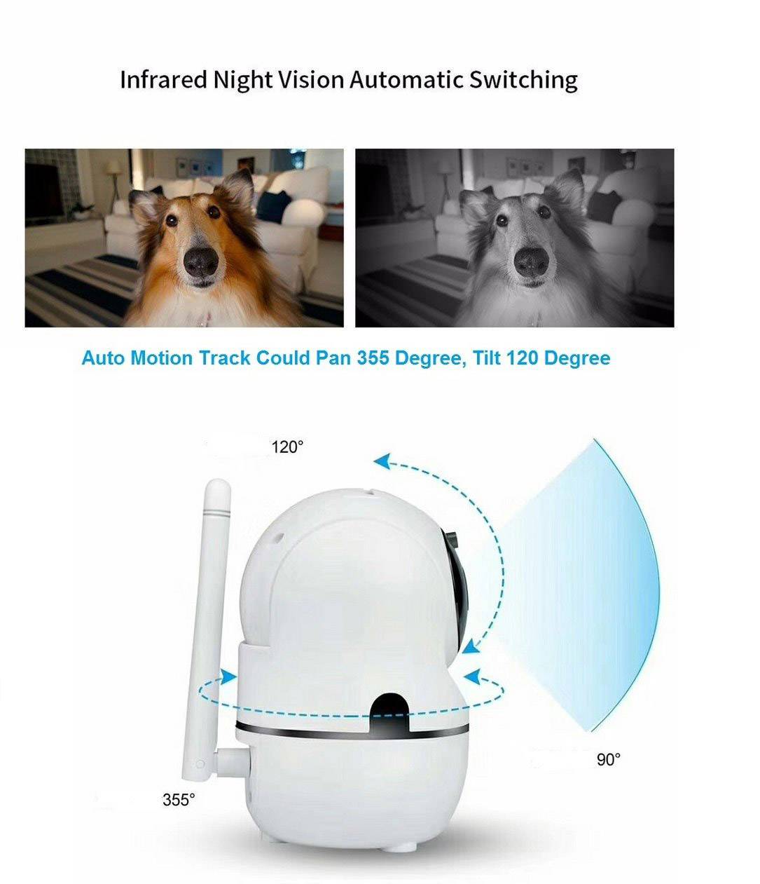Camera met automatische nachtzicht en bewegingsvolging. Horizontaal bereik van 355°, verticaal bereik van 120°. Afbeelding van hond overdag en 's nachts.